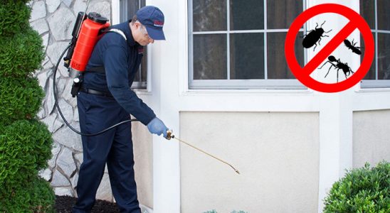 Afşin Böcek ve Haşere İlaçlama böcek ilaçlama ve haşere kontrolü — ilaclama-tr.com